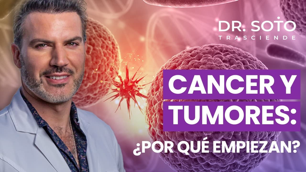 Ciclo celular: cómo evitar que se formen células cancerígenas