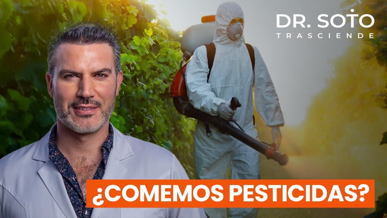 Tóxicos invisibles: pesticidas, metales pesados y alimentos modificados