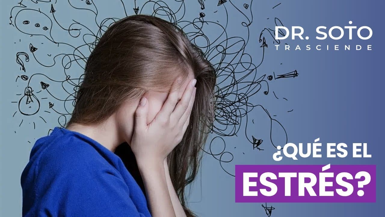 Lo bueno y lo malo del estrés: claves para gestionarlo