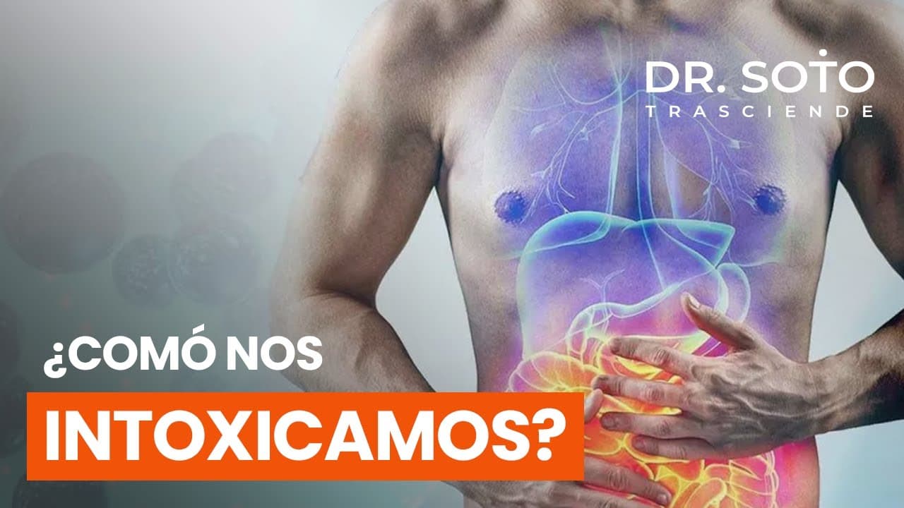 Intoxicación silenciosa: cómo las toxinas afectan tu salud y cómo prevenirlo