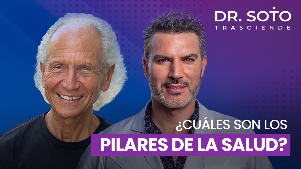 Los pilares de la salud y el arte de vivir conscientemente